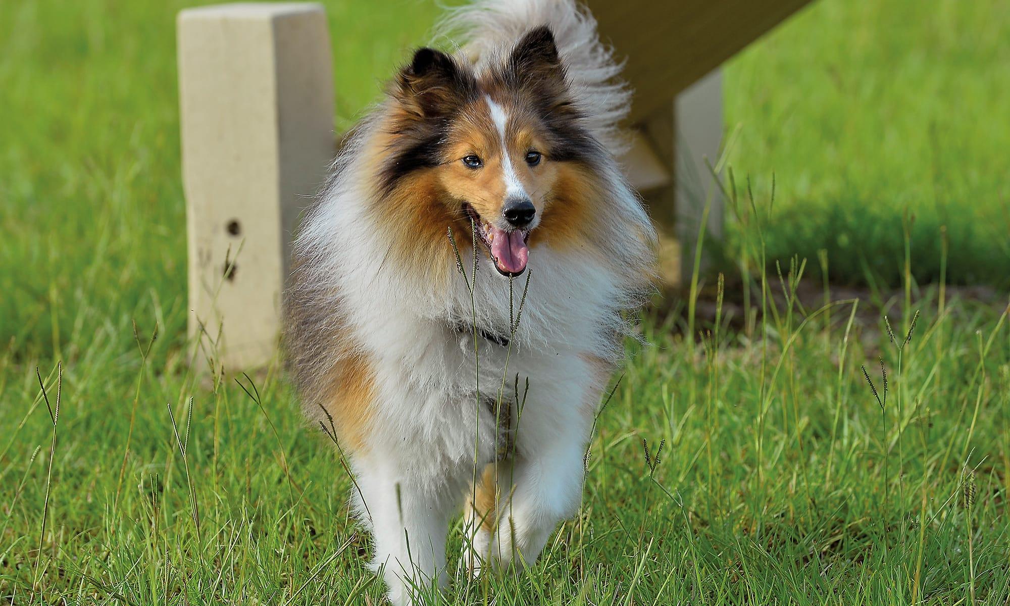 The Villages Florida's Friendliest Active Adult 55+ Retirement Community