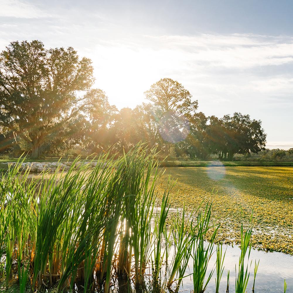The Villages Florida's Friendliest Active Adult 55+ Retirement Community