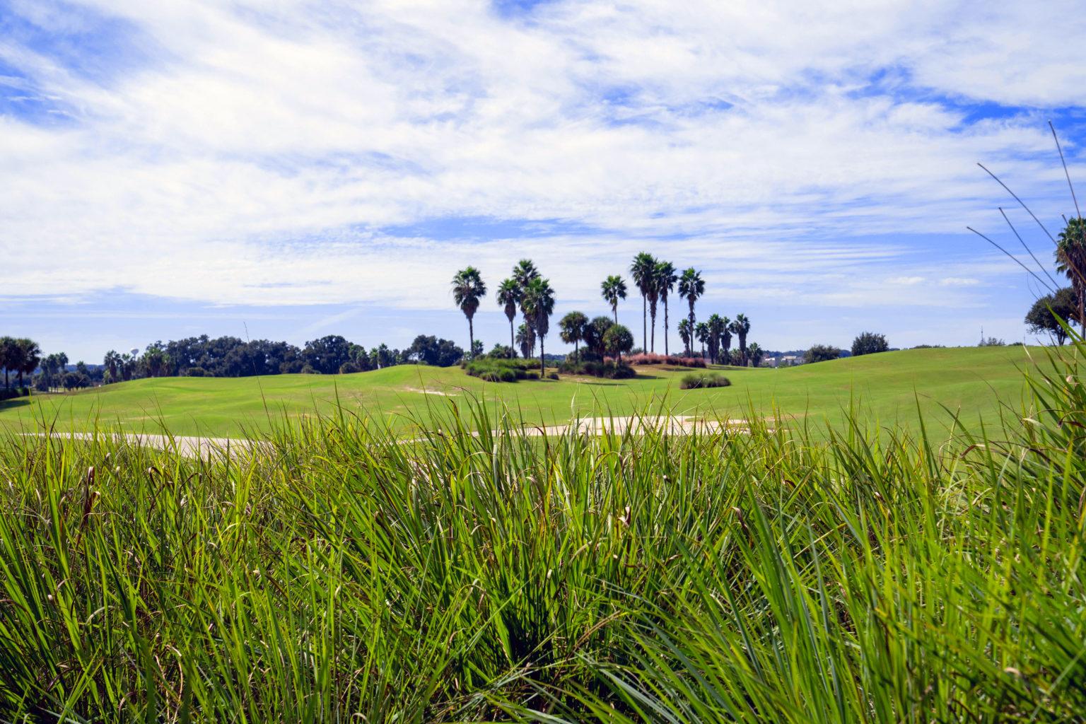 The Villages Florida's Friendliest Active Adult 55+ Retirement Community